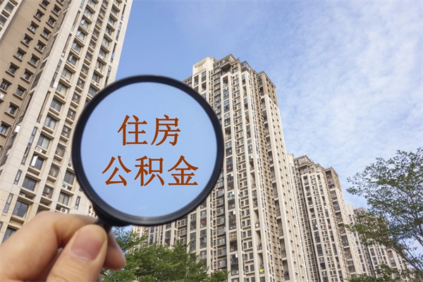 延边深圳公积金（深圳公积金首页）
